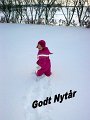 GodtnytÃ¥r
