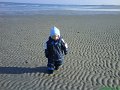 DSC00085