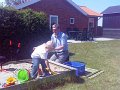 IMAGE_229