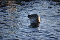 December2009_479