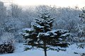 December2009_561